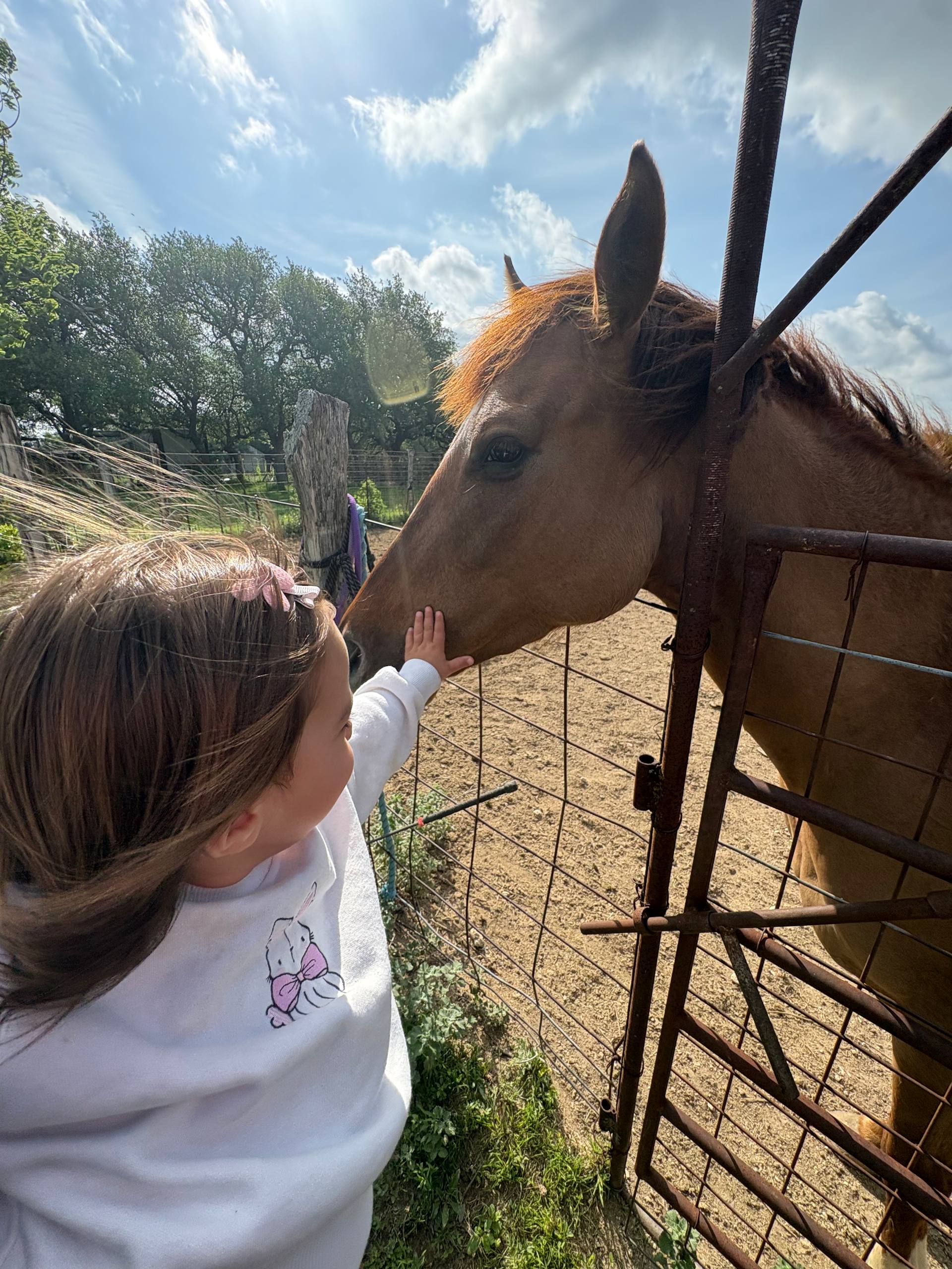 Meeting animals while traveling